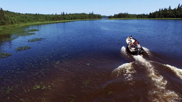 Forfaits de chasse à l'ours noir — Le Domaine Shannon – Le Domaine Shannon